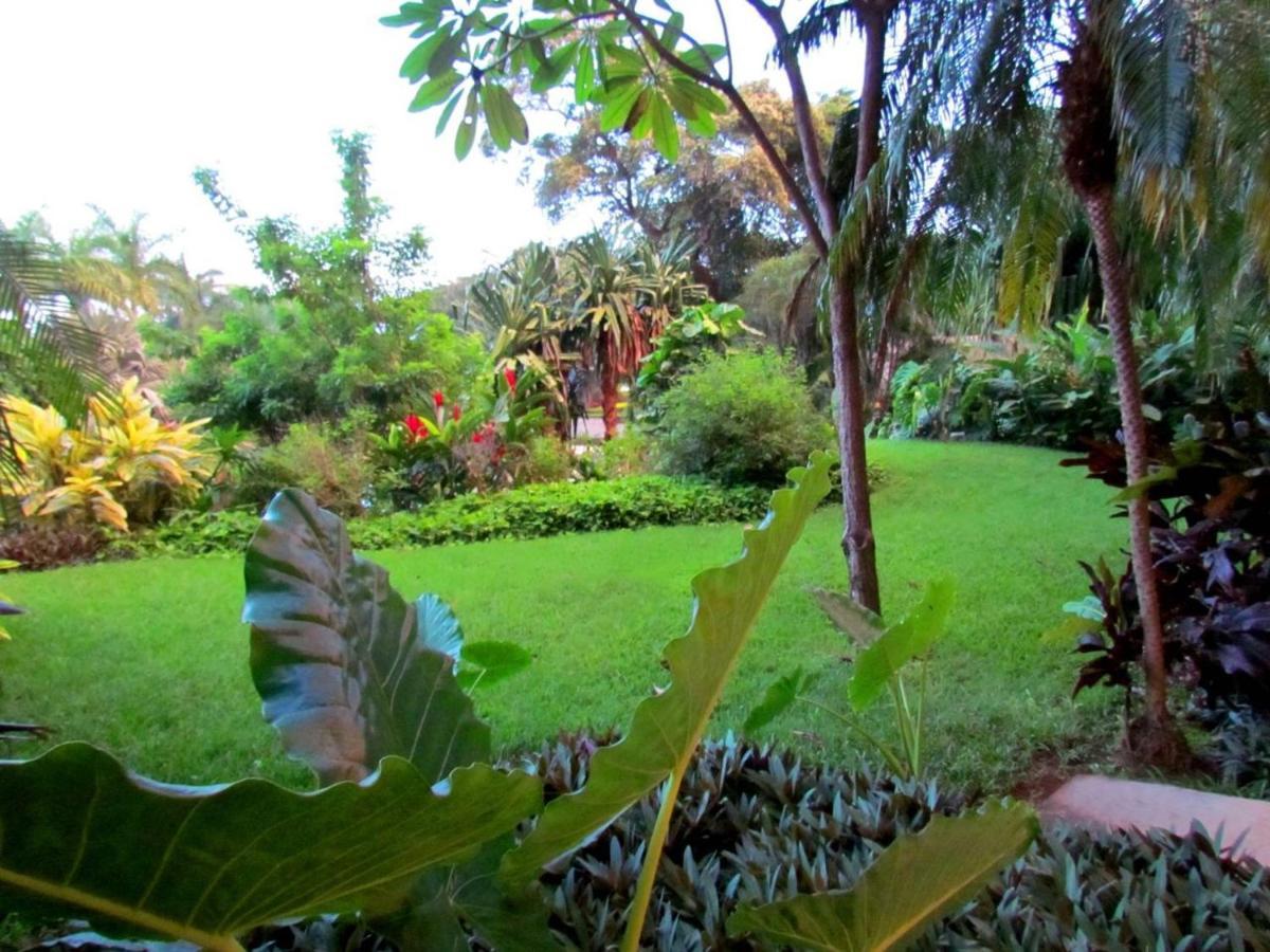 Tamarindo Condo 206 Matapalo Экстерьер фото